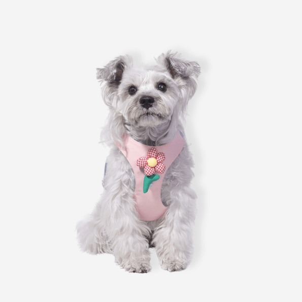 Conjunto Peitoral Guia para cachorros e gatos - Rosa